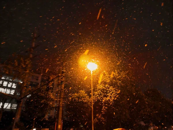 night view of the city of the most polluted building in the evening