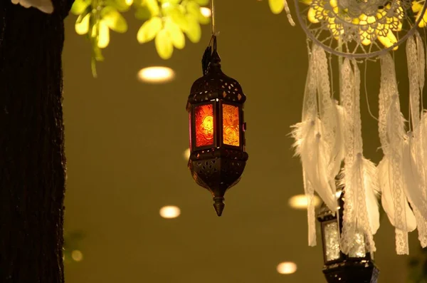 lantern hanging on a tree in the night