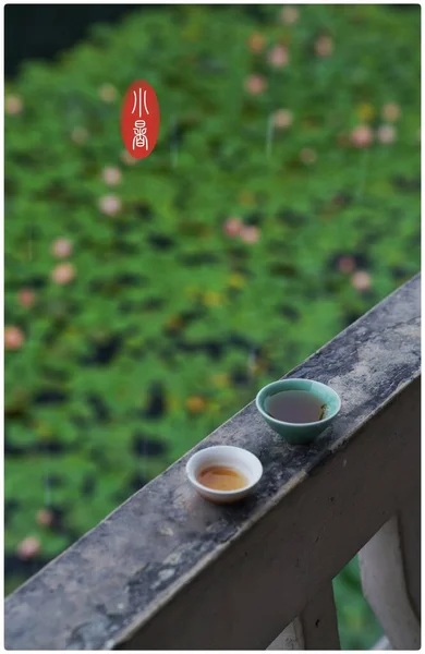 tea cup and coffee in the garden