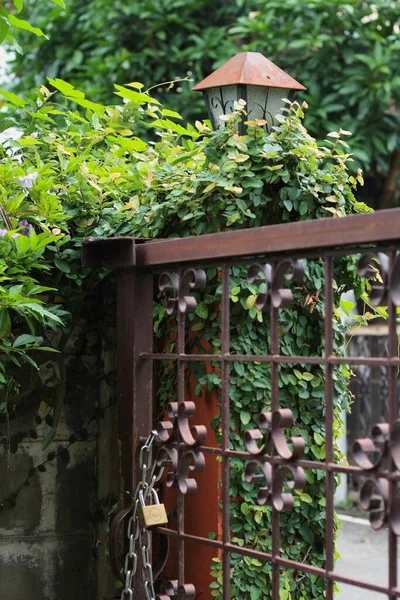 beautiful decorative metal lantern in the garden