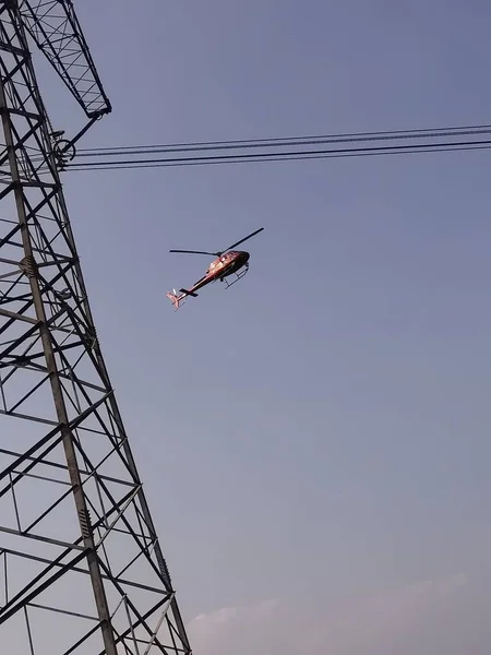 crane flying in the sky