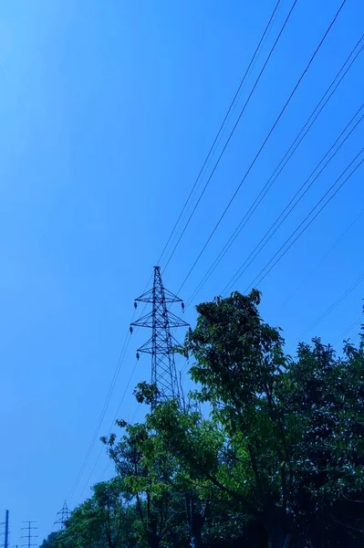 Do Halls Expire? Storage, Expiration, Pros, Cons