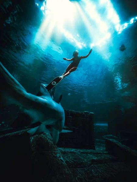 underwater scene with diver in the sea