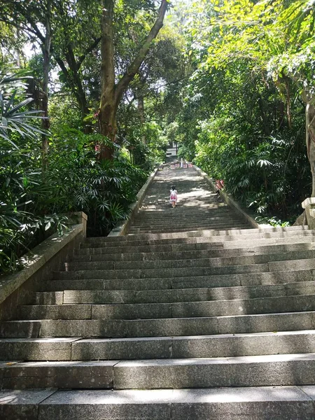 stock image stairs in the park