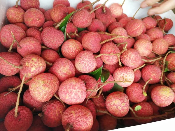 fresh ripe red and white fruits