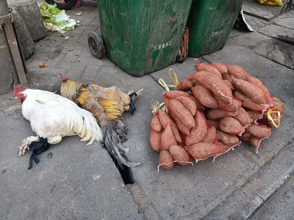 chicken in the market