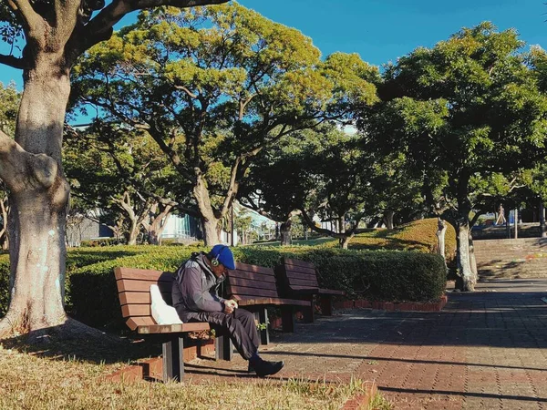 man sitting on bench in park
