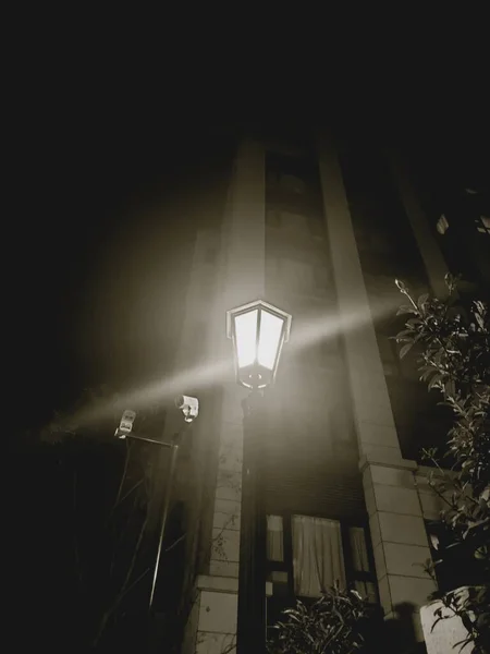 street lamp in the night