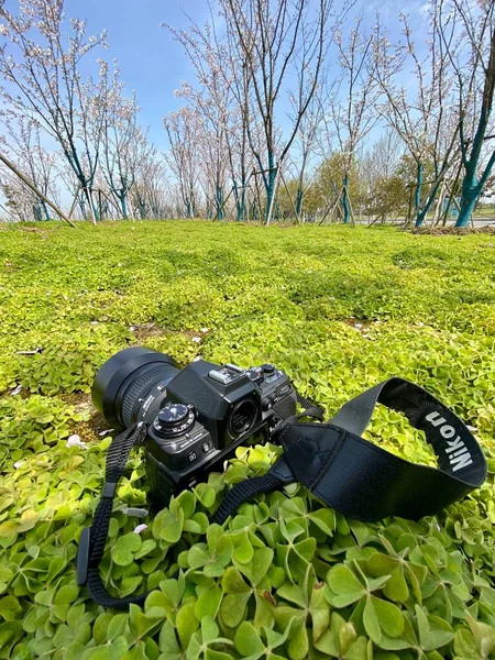 Tuchong-Microstock6