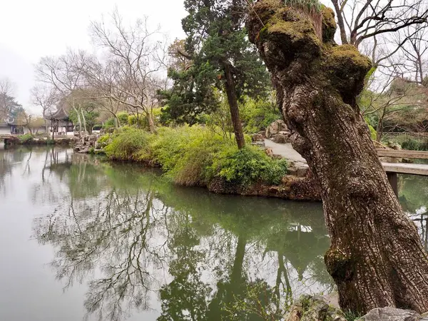 stock image beautiful view of the park