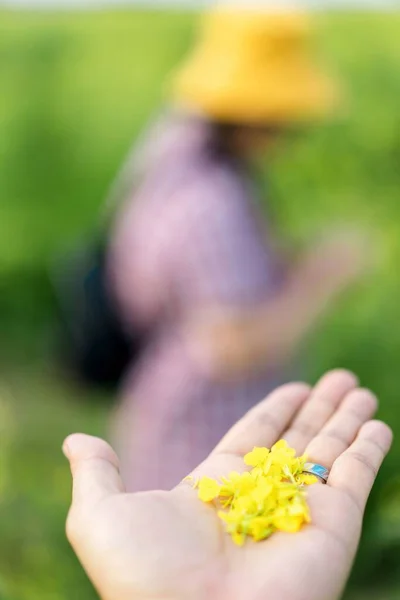 woman hand holding a flower in the garden