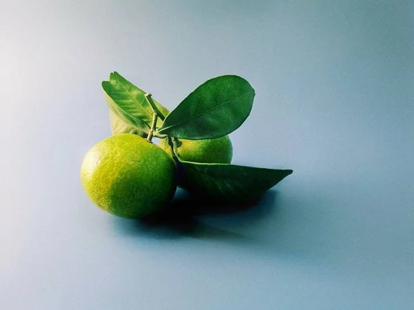 fresh green lemon on a white background