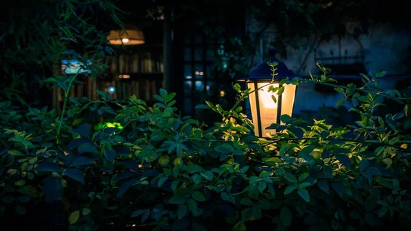 beautiful street lamp on the background of the house