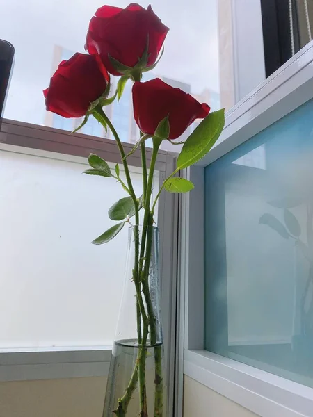 beautiful red roses in a glass vase on a windowsill