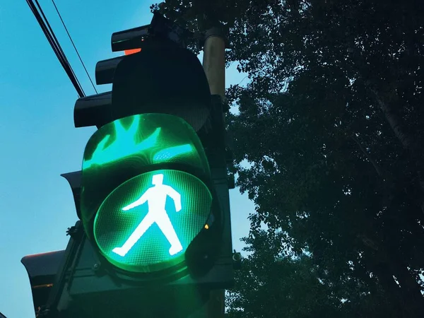 traffic light on the road