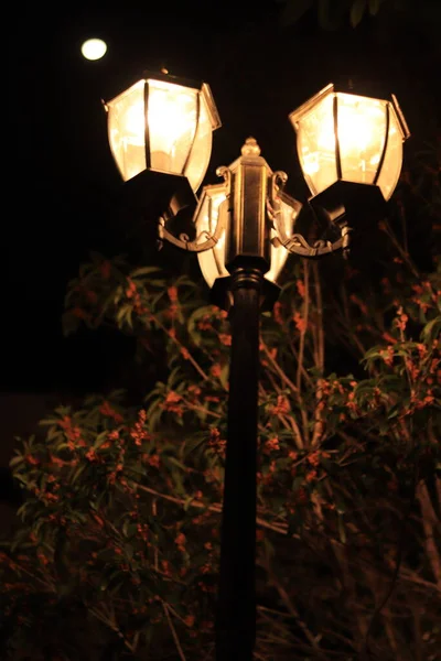 street lamp in the night