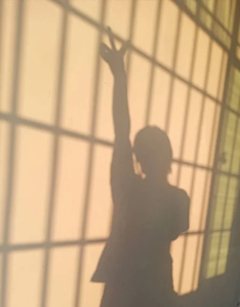 silhouette of a woman with a window