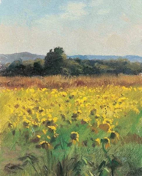 beautiful landscape with a field of sunflowers
