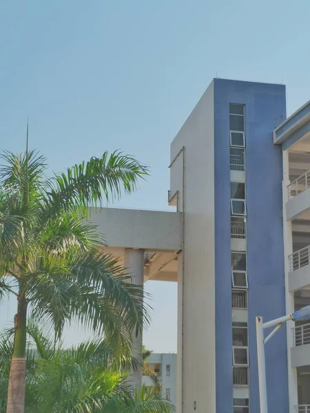 modern apartment building with palm trees and blue sky