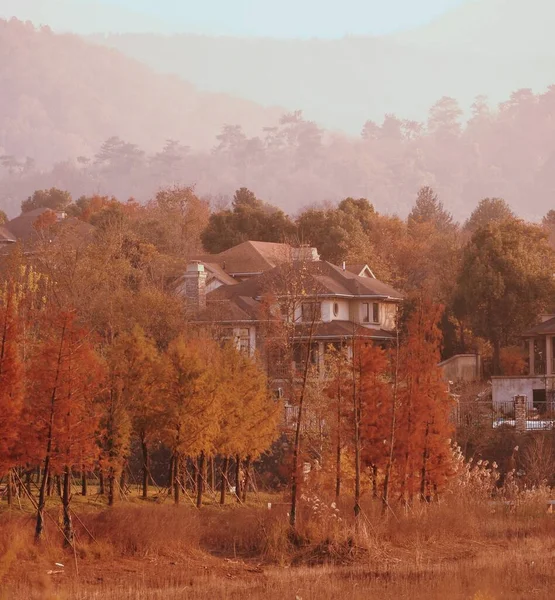 beautiful landscape with a tree and a village