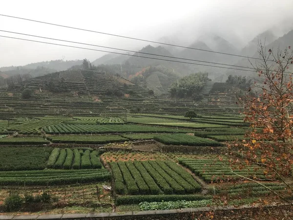 beautiful landscape of the valley in the mountains