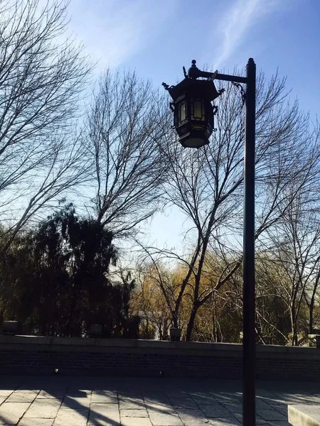 street lamp in the city park