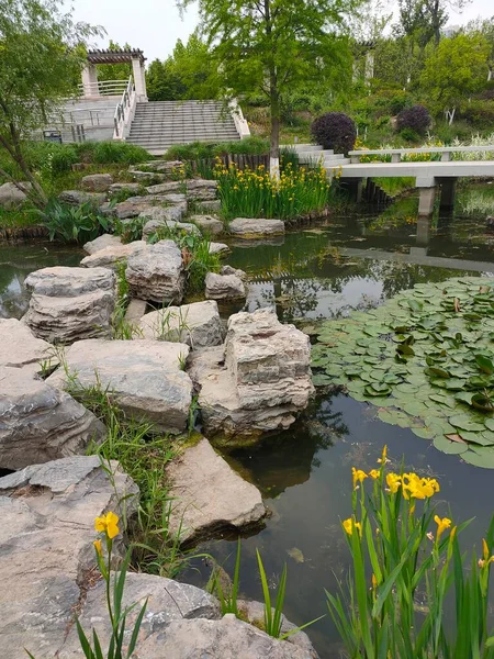 beautiful garden with pond and flowers