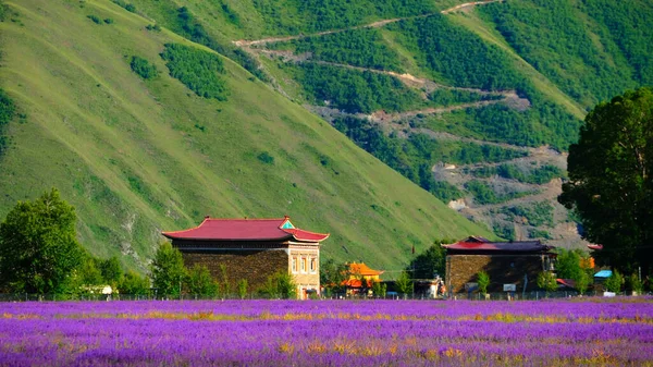 beautiful landscape of the valley of the village in the mountains