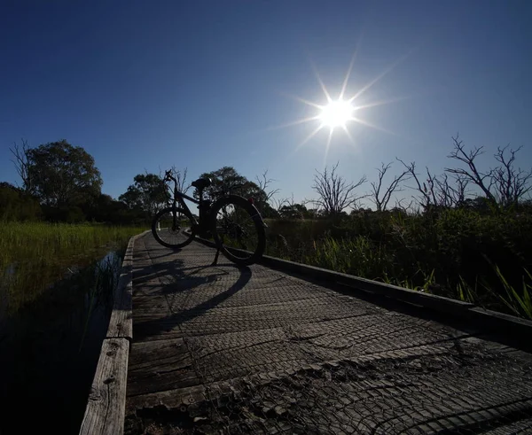 silhouette of a cyclist riding on a bicycle in the forest