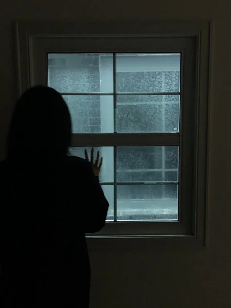 silhouette of a woman in a black dress with a window on the background of the house