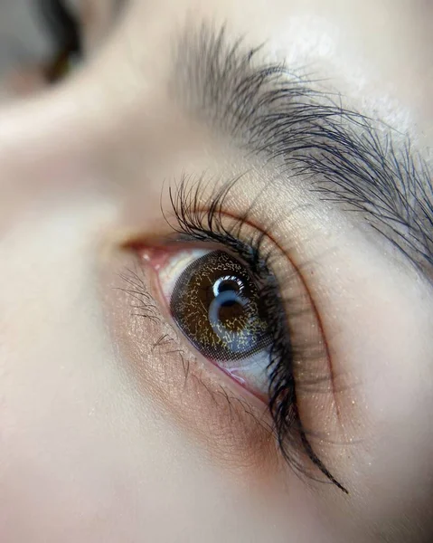 close up of a female eye with a blue eyes