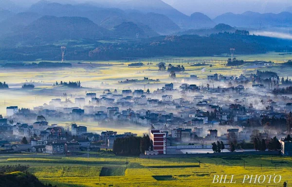 beautiful landscape with a field of tea and mountains