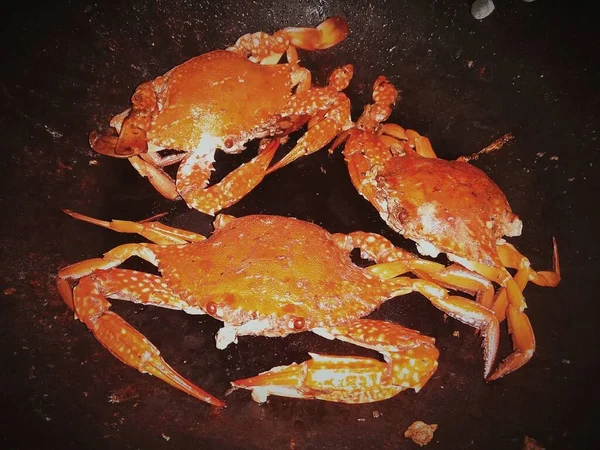 fresh red crab on a black background