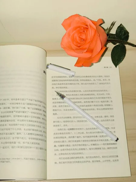 roses and a book on a white background