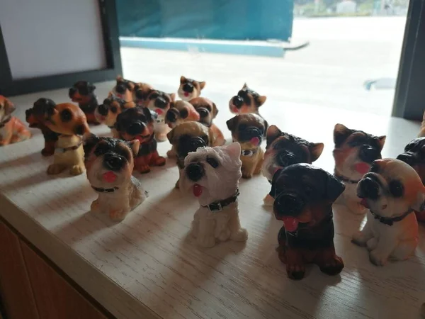 a group of dogs in the room
