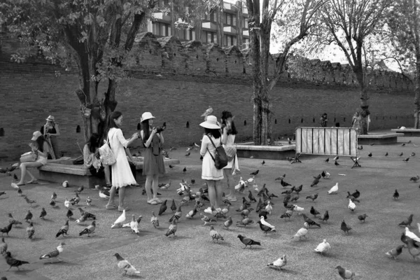 the old and white people in the park