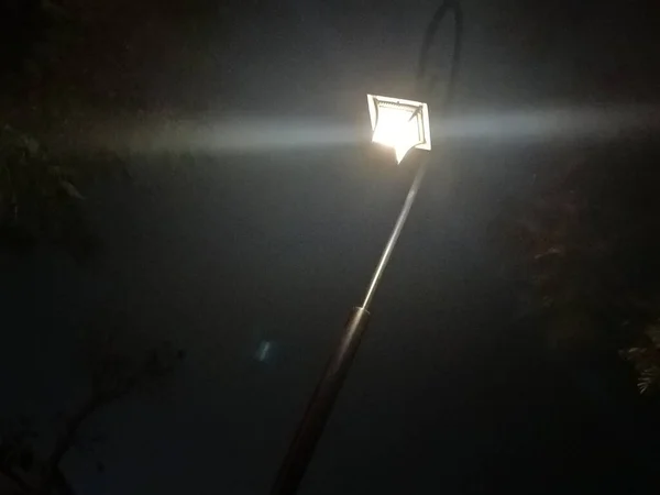 street lamp in the night