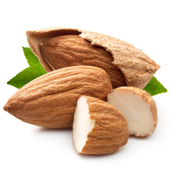 Almond Leaves Isolated White Background — Stock Photo, Image