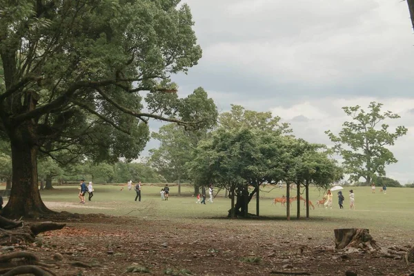 a group of people in the park