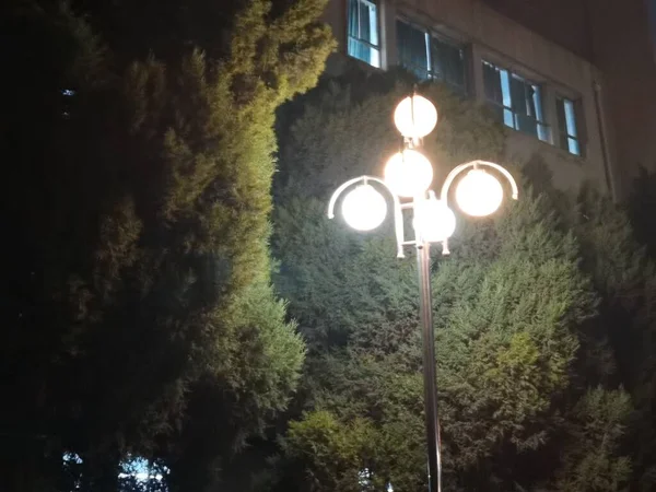 street lamp on the night