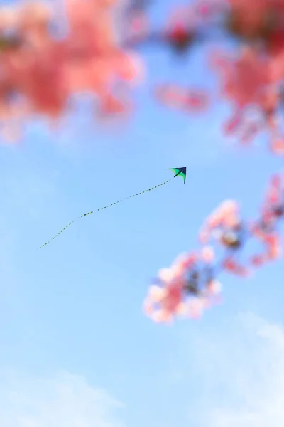 red kite flying in the sky