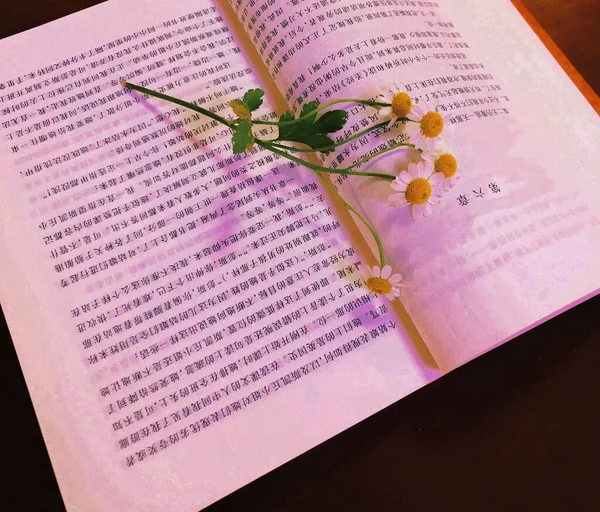 old book with flowers