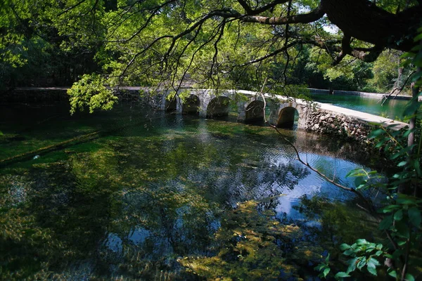Hermosa Vista Del Río Parque — Foto de Stock