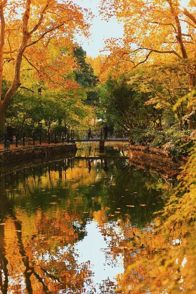 autumn landscape with colorful trees