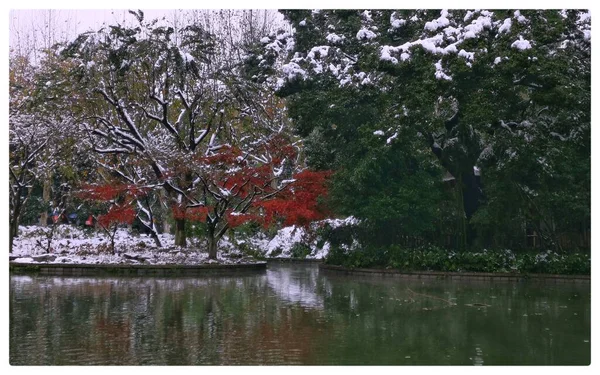 beautiful landscape with trees and leaves