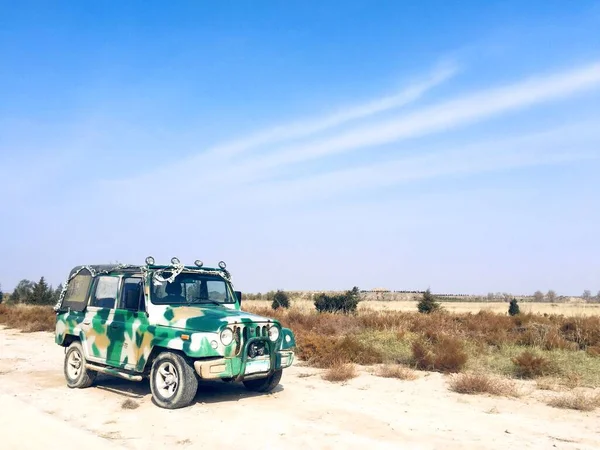 car in the desert