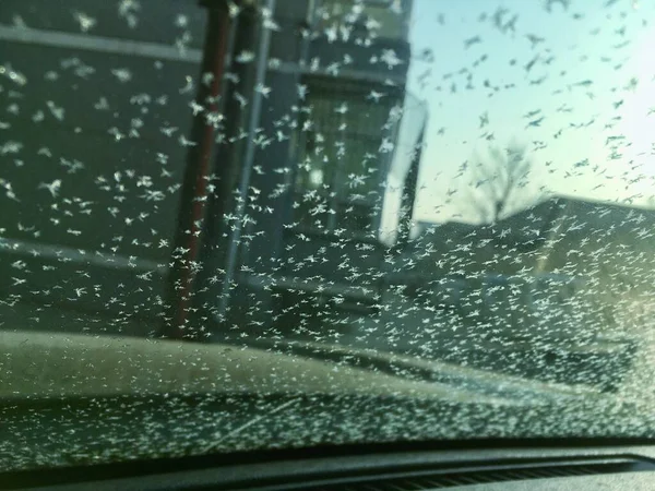 car window with rain drops on the roof
