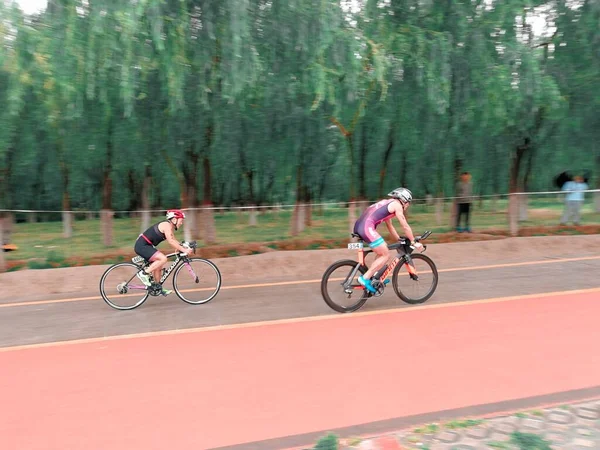 cyclist riding a bicycle in the forest