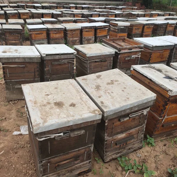 old wooden box with a lot of small metal boxes