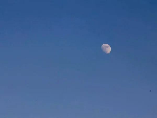 moon in the sky